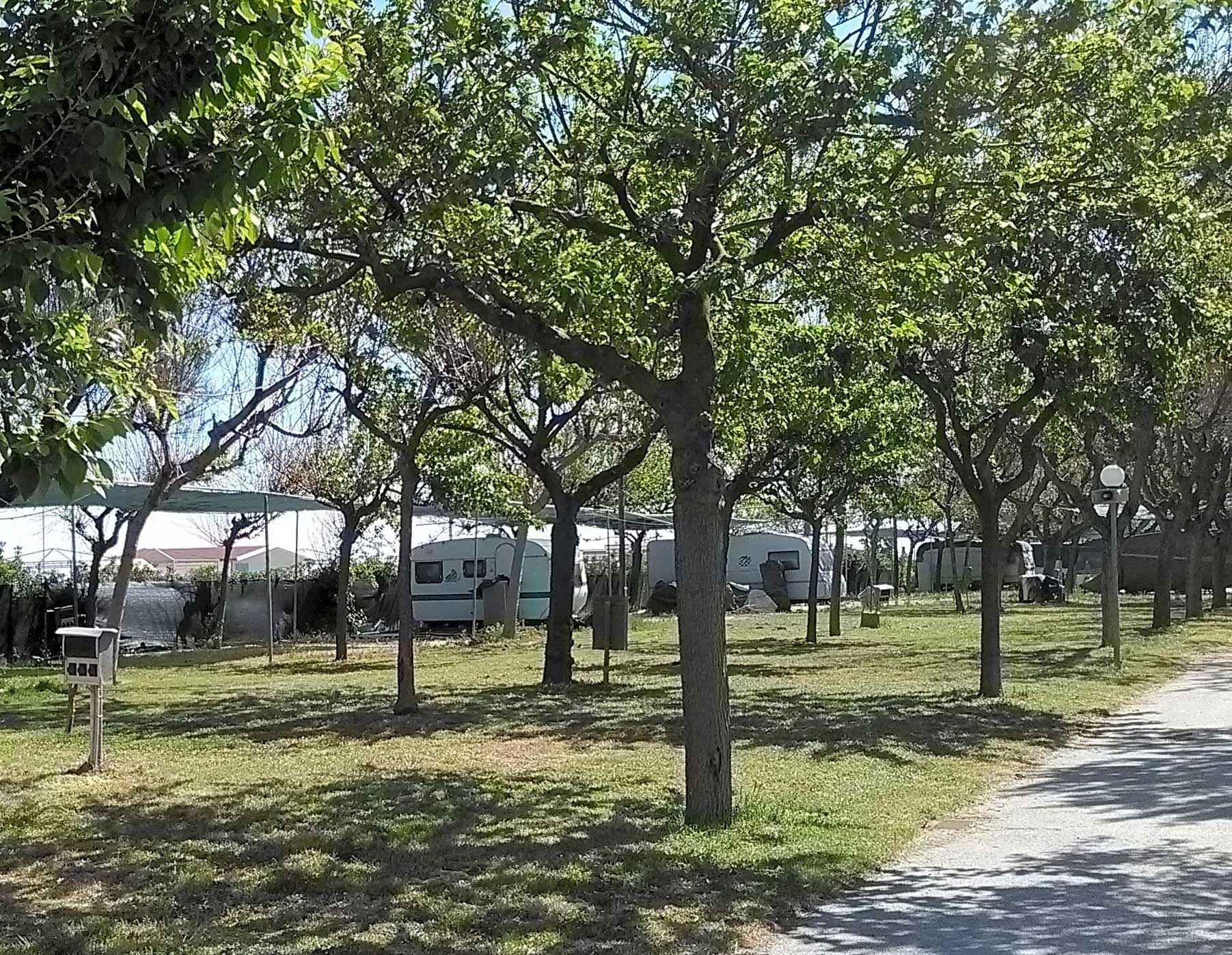 piazzola